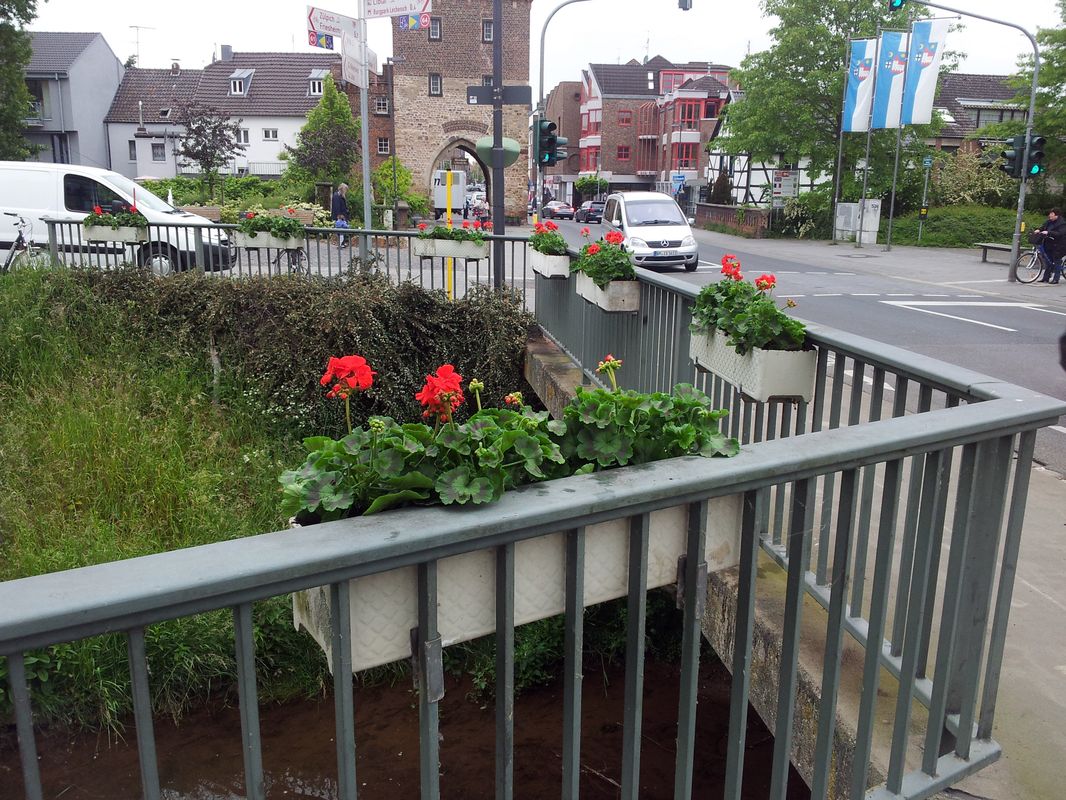Blütenpracht 2014 4 Blütenpracht 2014 4